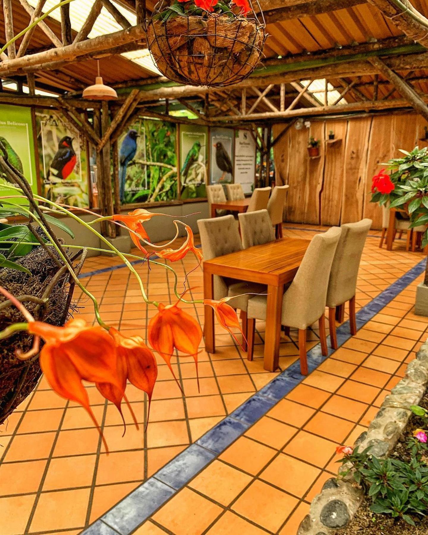 Hotel Termales San Vicente 圣罗莎德卡瓦尔 外观 照片