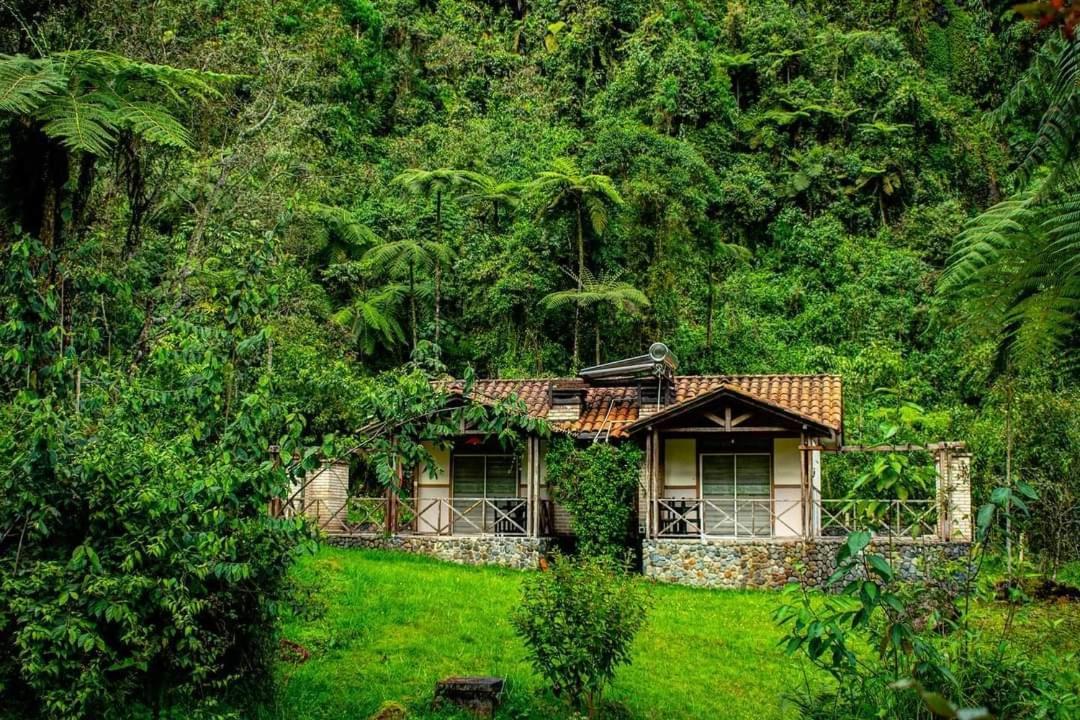 Hotel Termales San Vicente 圣罗莎德卡瓦尔 外观 照片